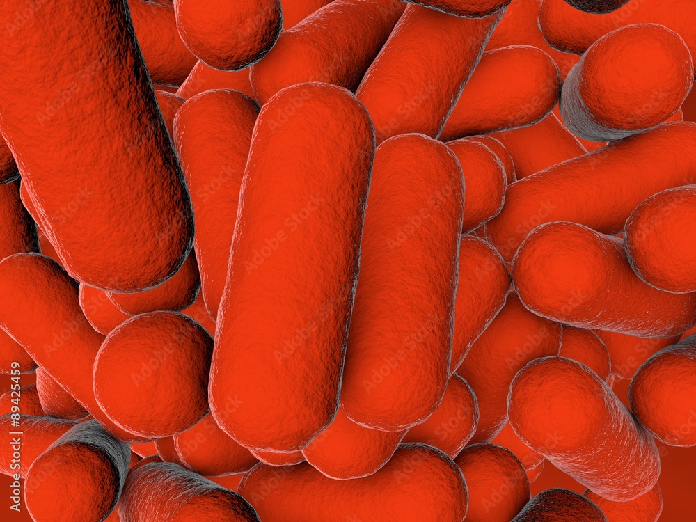 Digital illustration of bacteria, model of bacteria, realistic