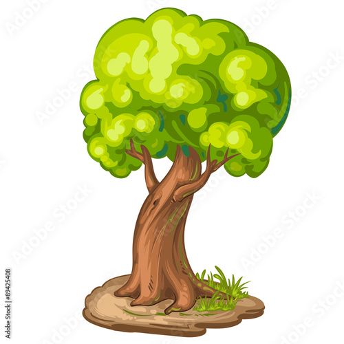 Illustration of a closeup tree