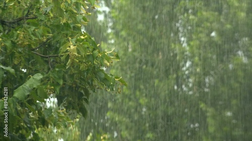 Summer rain showers, heavy rainstorm in summer season, strong wind blowing in trees, bad weather and meteorology background, 4k uhd footage, 3840x2160