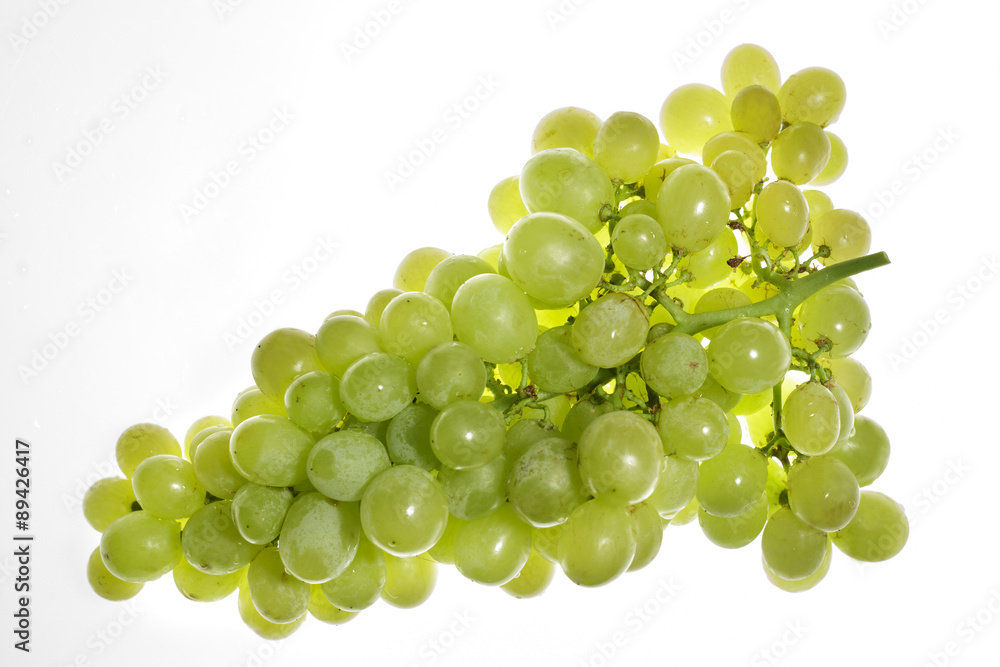 Bunch of white table grapes, backlit