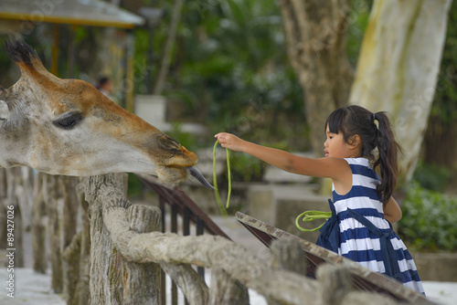 Little girl feeding a giraffe at the zoo .