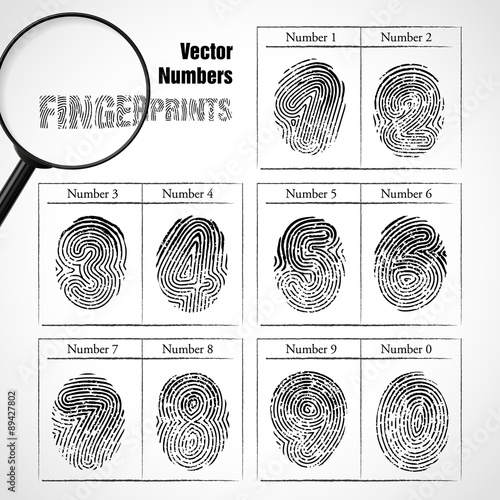 Numbers of fingerprint.