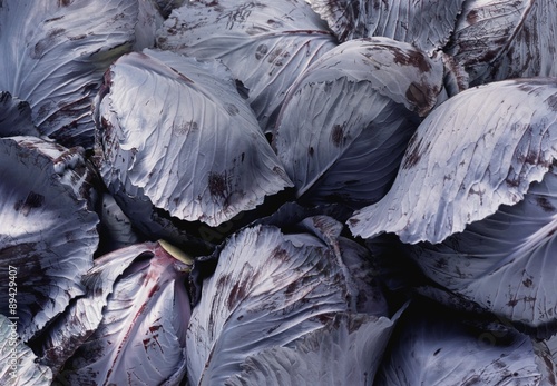 Several red cabbages (close-up)