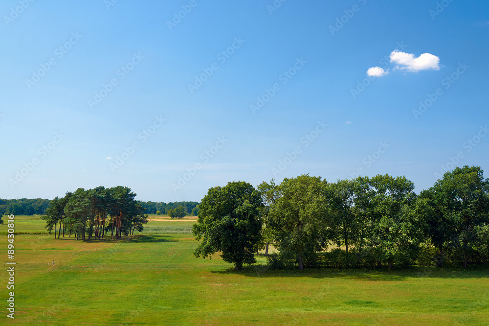 Landscape with trees on a meadow in summer in Poland. Landscape with trees on a meadow in summer in Poland.