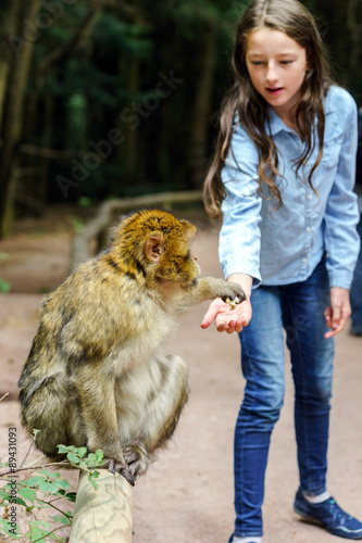 Teenage girl feeding mocaco monkey photo