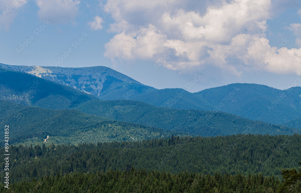 Fototapeta premium summer landscape in Carpathians