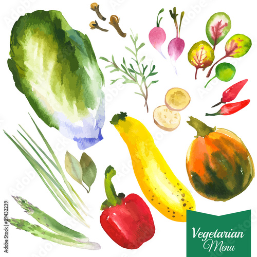 Watercolor vegetables and herbs. Provencal style. Recent watercolor paintings of organic food. Radishes, zucchini, pepper, bay leaves, ginger, green onion, asparagus, rosemary, cloves, pumpkin.