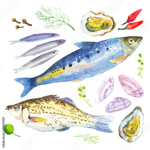 Watercolor set with fish, seafood, oysters,sardina, basil and other herbs and spices. Hand-drawn on a white background.