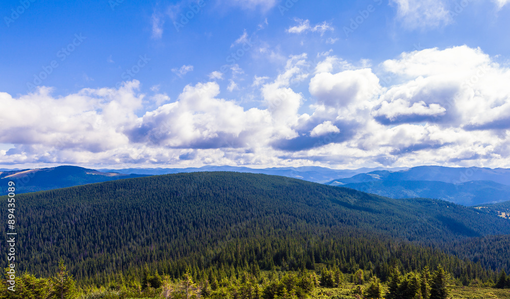 Obraz premium Montenegrin ridge in Carpathians