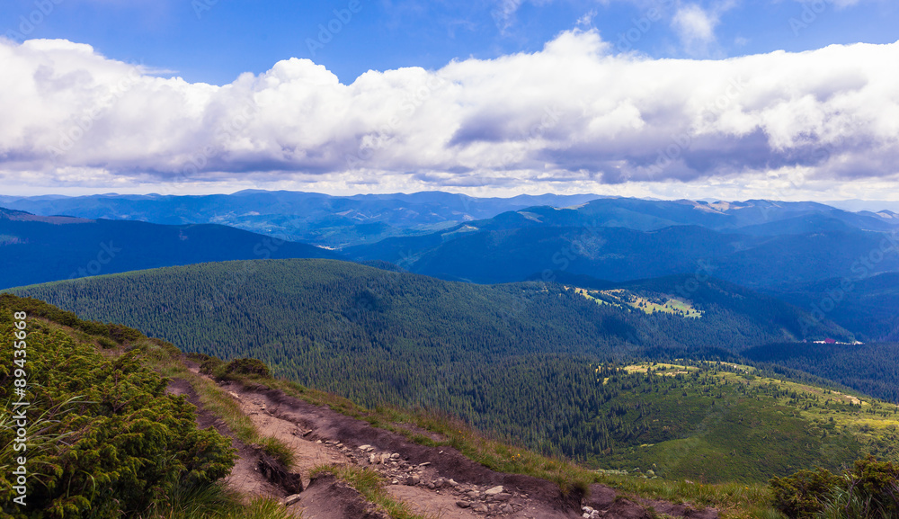 Fototapeta premium summer landscape in Carpathians