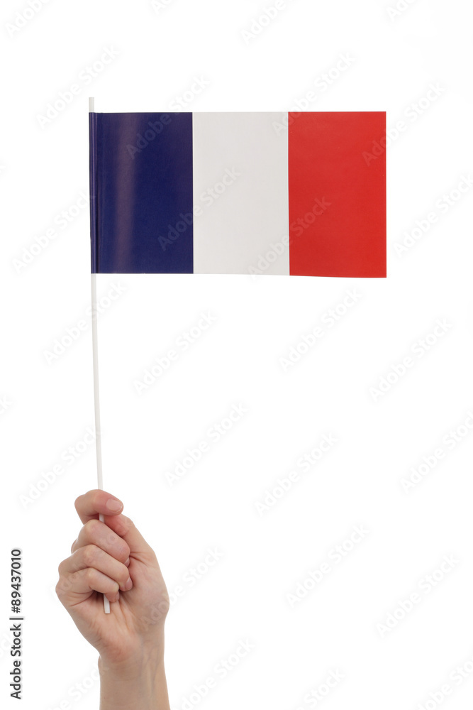 main femme tenant petit drapeau français Stock Photo