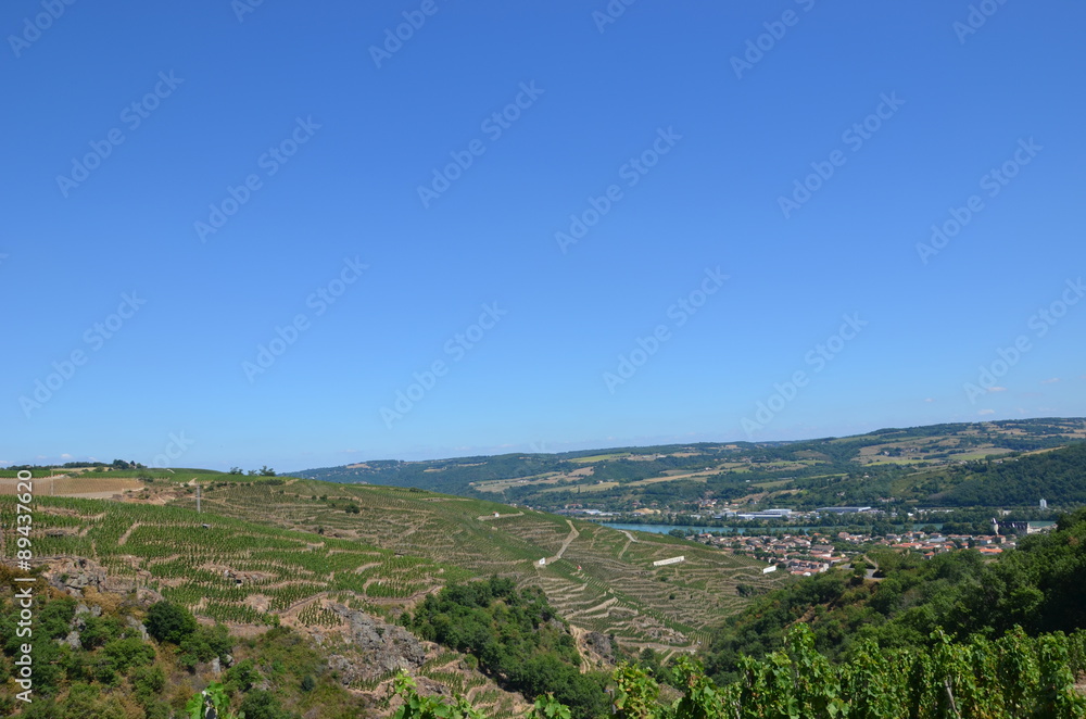Vigne côte-rôtie ( AOC ) grand cru Rhône - Vignoble
