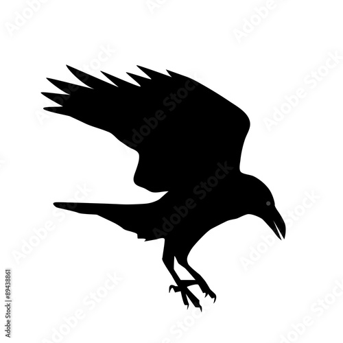 silhouette of a raven