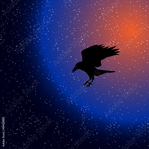 Fototapeta Naklejka Na Ścianę i Meble -  silhouette of a raven in space