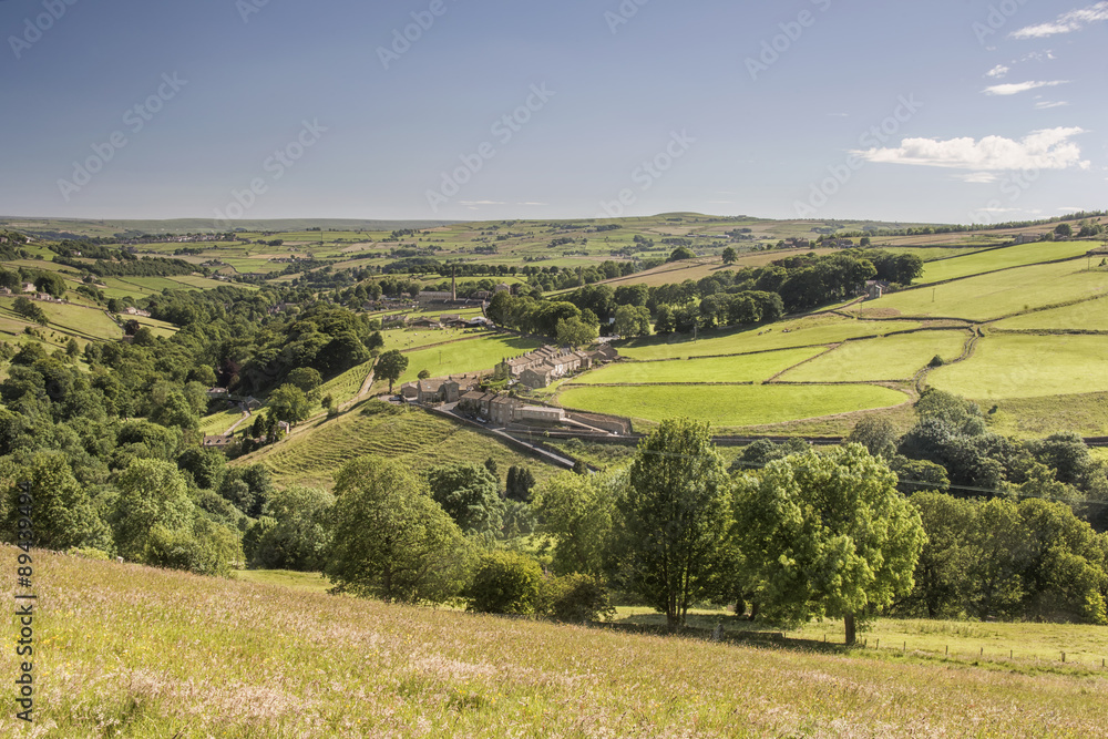Obraz premium Summer Yorkshire Landscape