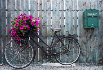 Leinwandbilder Fahrrad Vintage Fahrrad mit Blumenkorb auf Strasse  © Gabriel Cassan