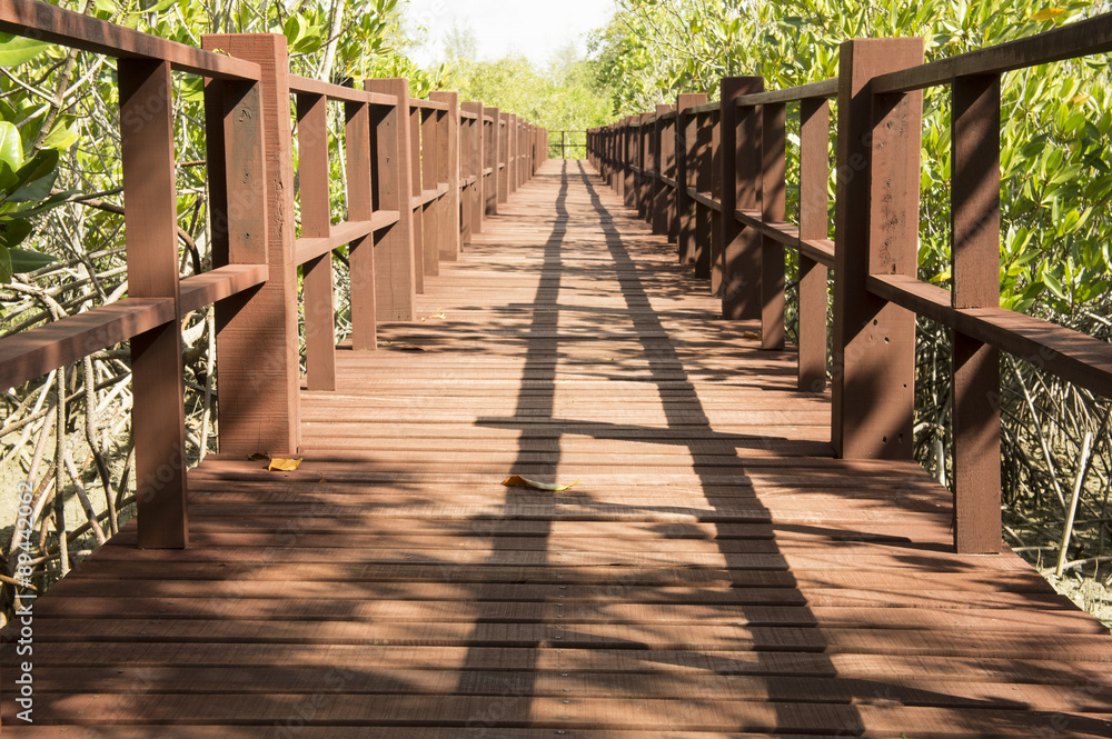 sunlight walkway walk wooden beach tour concept sunlight walkway walk wooden beach tour concept