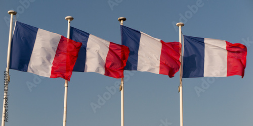 Fotografie, Tablou French flags against blue cloudy sky.