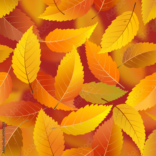 Seamless pattern with autumn falling leaves  vector illustration