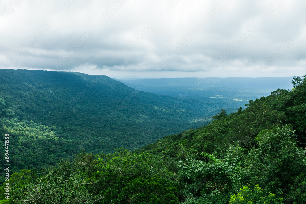 View of mountain with fog, Khao Yai National Park, Thailand