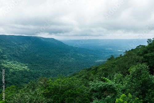 View of mountain with fog, Khao Yai National Park, Thailand