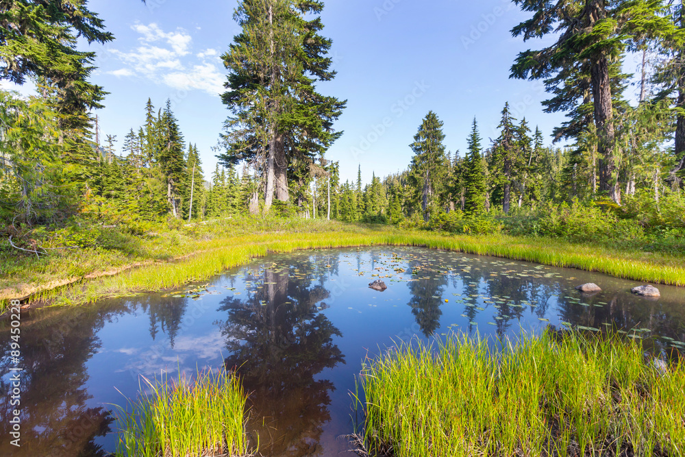 Obraz premium Mountains lake