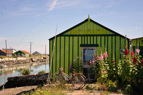 Les vélos et la cabane verte, Saint-Trojan-les-Bains, l'Ile d'Oléron #89450899
