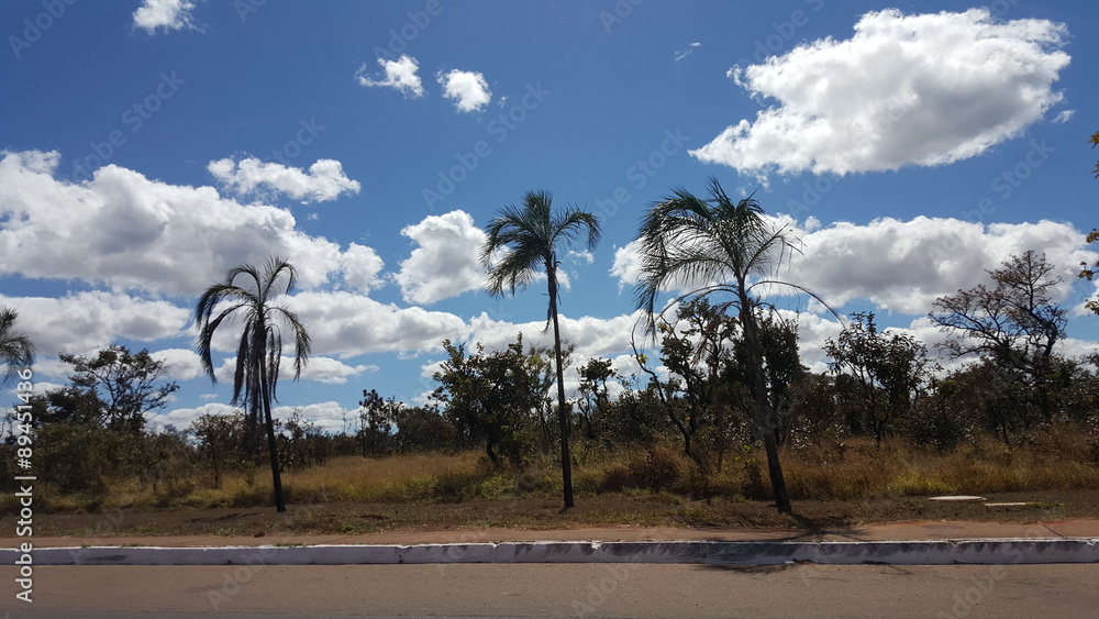 Fototapeta premium Treed against beautiful sky