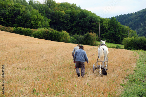 Two Farmers ploughing a field with a white horse