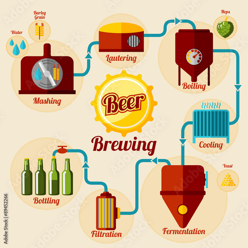 Beer brewing process infographic. In flat style. Vector