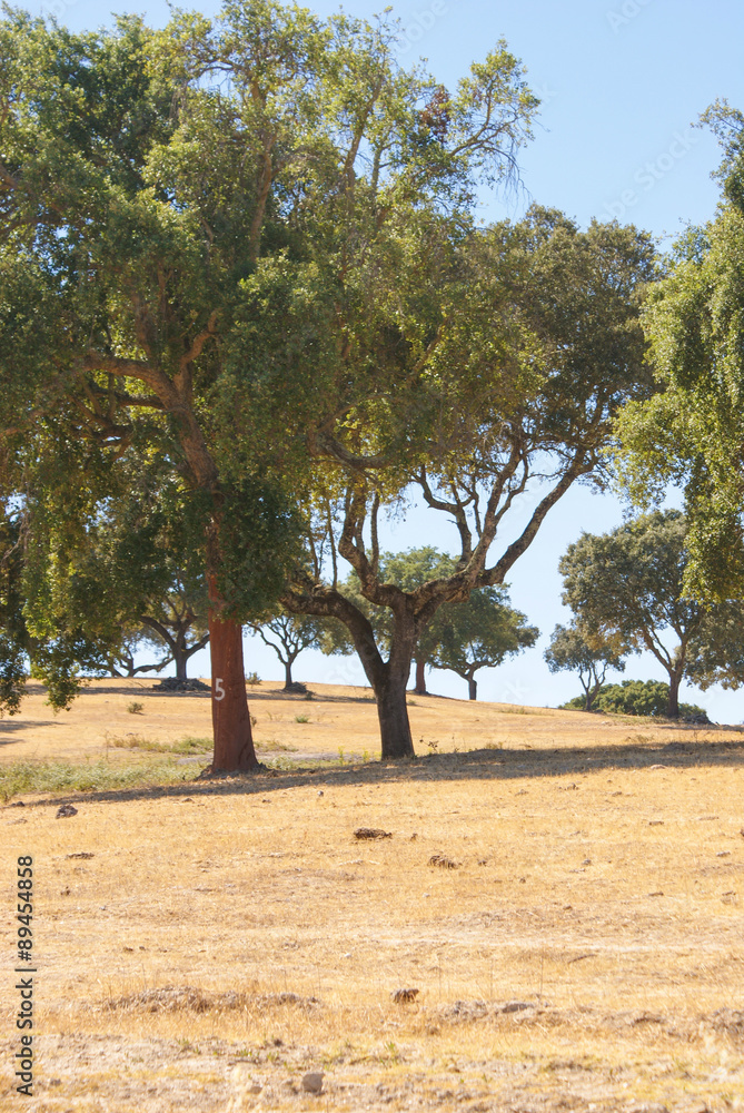 Alentejo