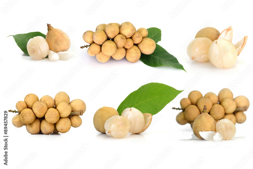 Collection Longkong isolate on white background Collection Longkong isolate on white background