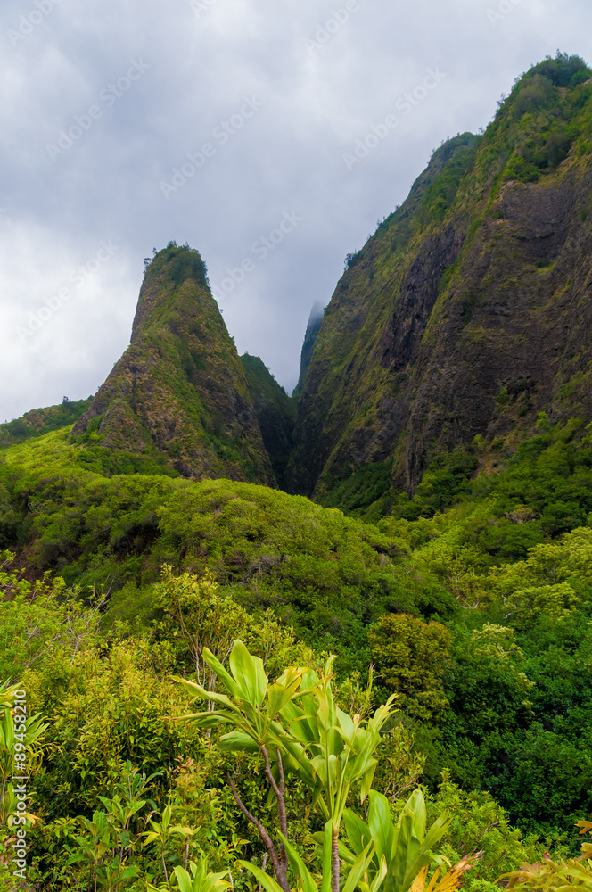 Overview of the Iao Needle State Park Maui Hawaii USA