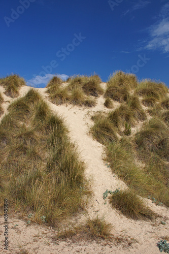 Dunes at Cala Mesquida beach - Majorca