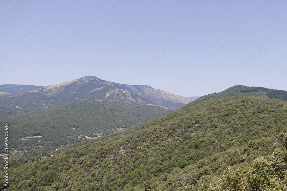 Paysage de montagne dans les Cévennes
