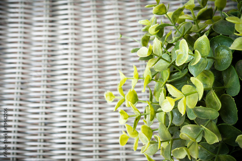 Artificial plant on wickerwork background