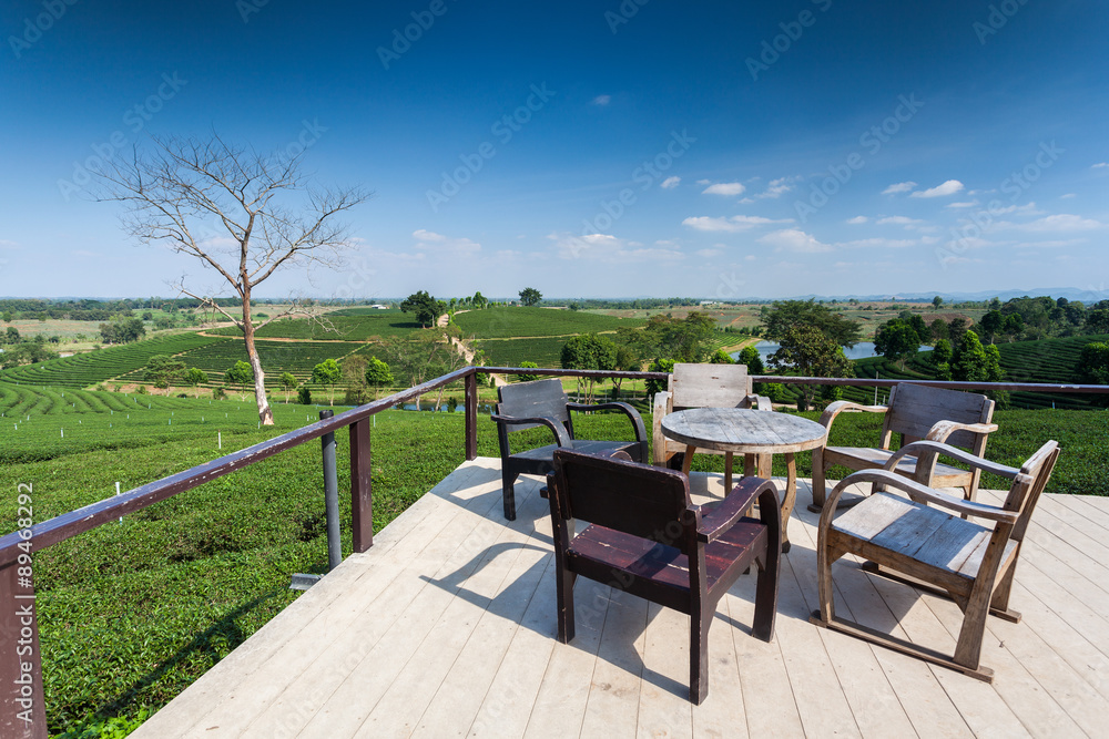 Tea plantation at Chui Fong , Chiang Rai, Thailand.