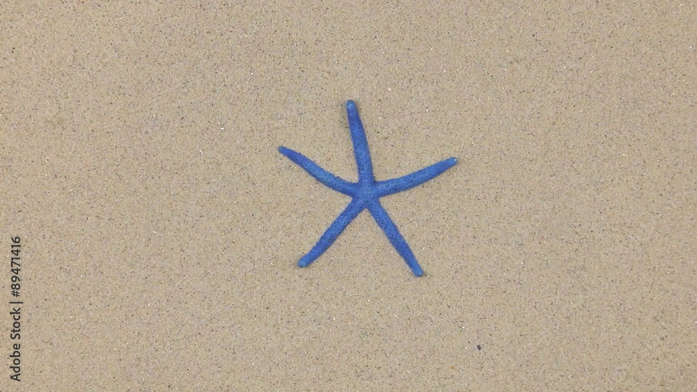 Approximation of starfish lying on the sand, top view
Approximation of starfish lying on the sand, top view
