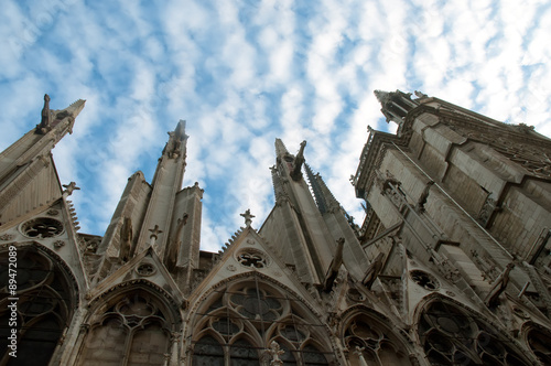 Notre Dame Cathedral, architectural details , Paris .