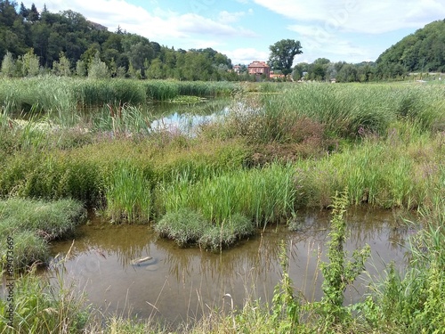 Piccolo lago lacustre photo