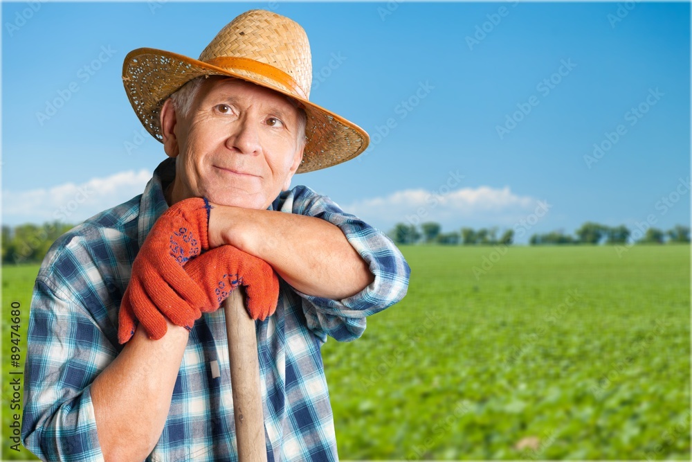 Fototapeta premium Gardening.