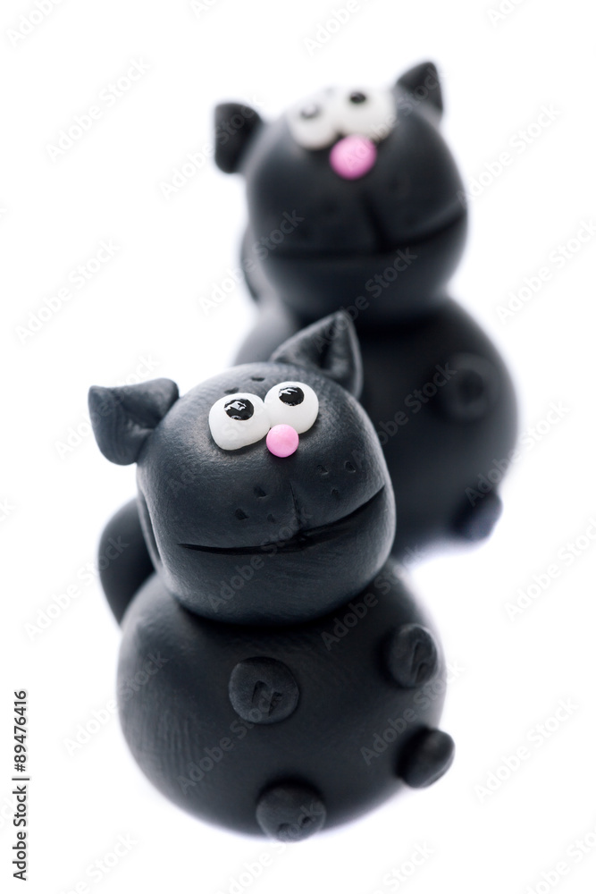 Black cats Black cats