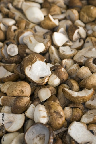 Ceps (full-frame)