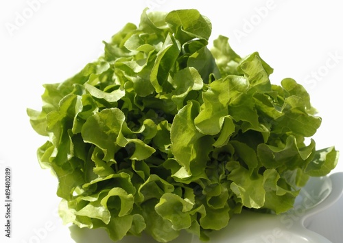 Organic oak leaf lettuce