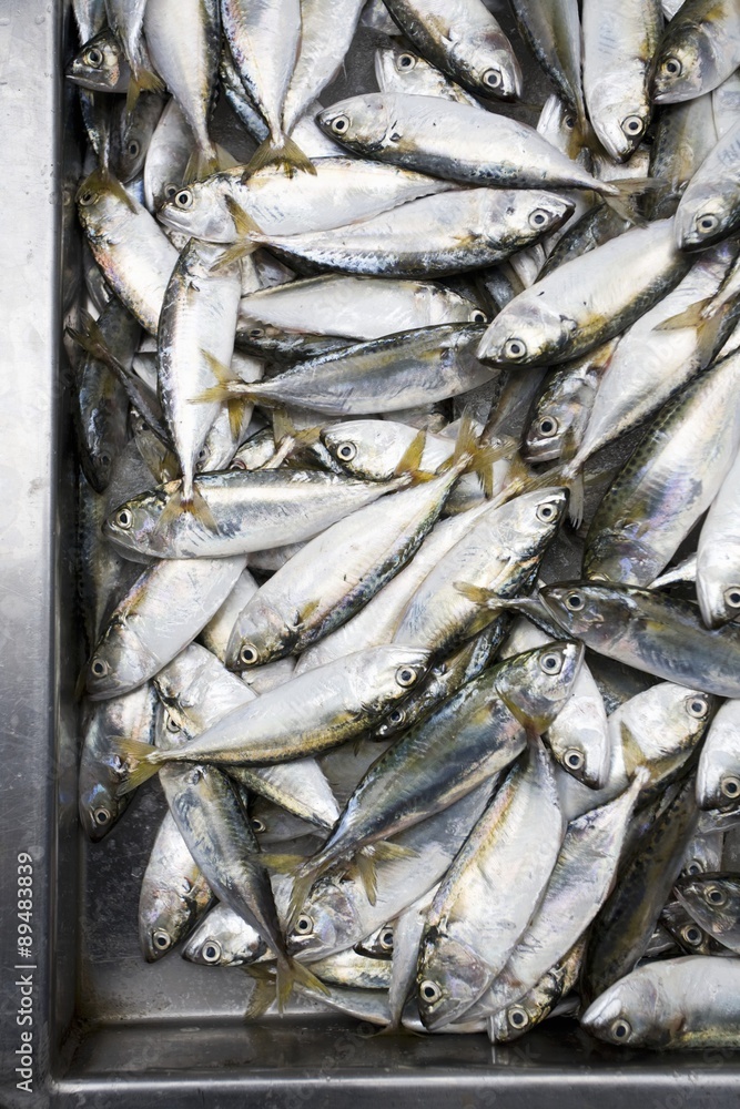 Mackerel at a market in Bangkok Mackerel at a market in Bangkok