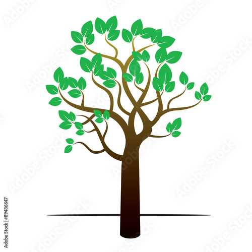 Color Tree and Green Leafs. Vector Illustration.