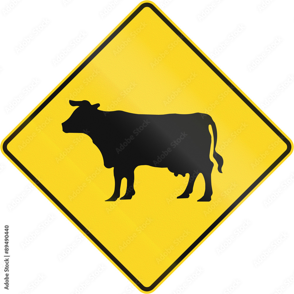 Canadian road warning sign - Cattle crossing. This sign is used in Quebec Canadian road warning sign - Cattle crossing. This sign is used in Quebec