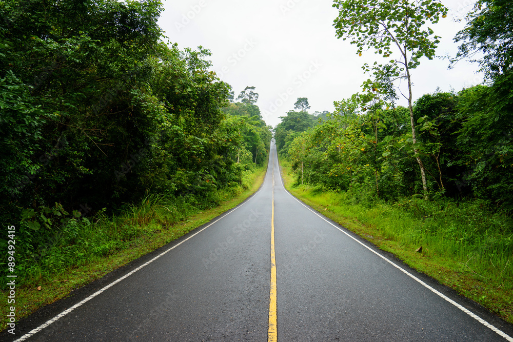 Forest road at Khaoyai National Park (The World Heritage of natu Forest road at Khaoyai National Park (The World Heritage of natu