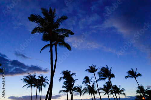 Palm trees on the beach at sunset, Maui, Hawaii, USA