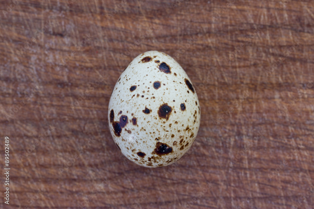 Fototapeta premium quail eggs